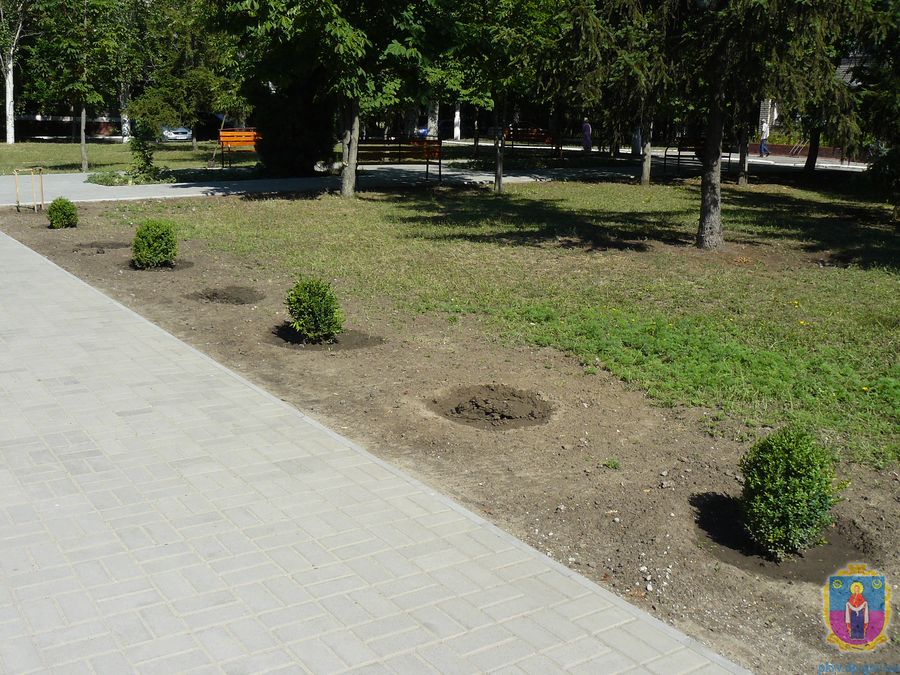 і знову полювання на ялинки. Зображення 1