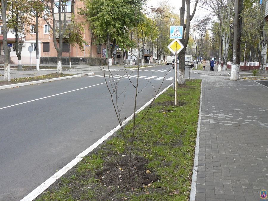 чехова озеленюється. Зображення 3