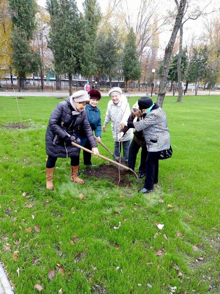 у центральному парку міста висаджують дерева. Зображення 8