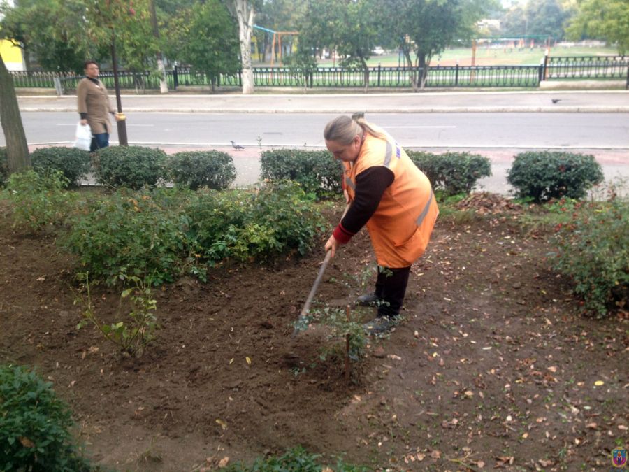 місто за тиждень. Зображення 1